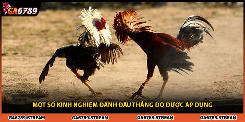 Một số kinh nghiệm đánh đâu thắng đó được áp dụng