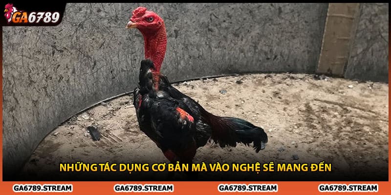 Những tác dụng cơ bản mà vào nghệ sẽ mang đến